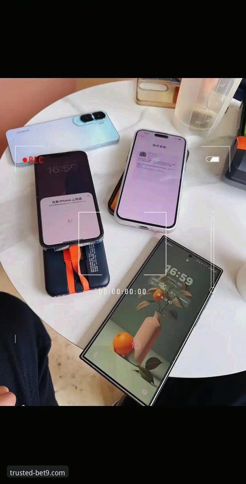 bet9十年信誉平台官方应用下载全面解析：从获取到体验的创新路径